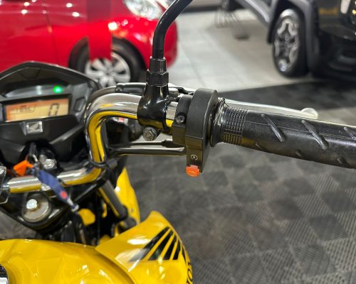 WhatsApp Image 2026-02-11 at 14.43.44 (5)