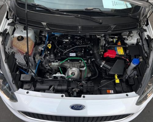 e604ff0a-ee7d-4247-acd1-32e37dfc4ce4